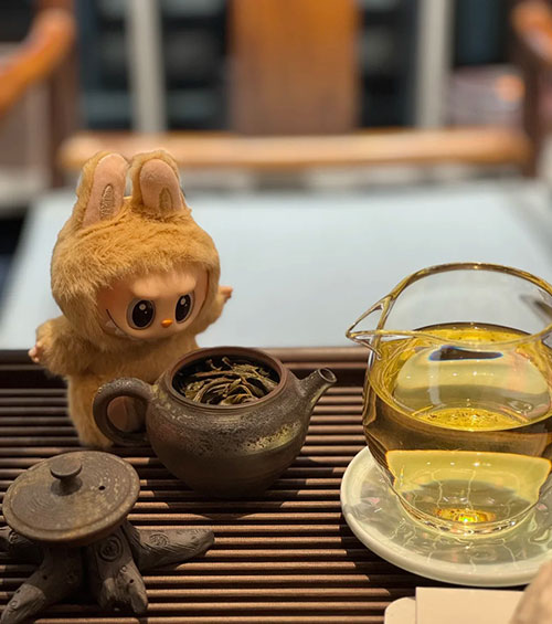 选择正规渠道，安心体验，就在上海桃花源品茶工作室